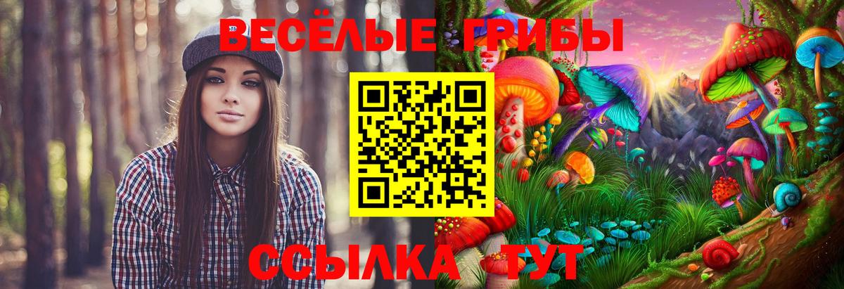 Псилоцибиновые грибы мицелий Приморско-Ахтарск