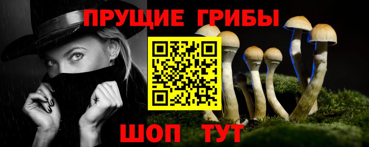 Приморско-Ахтарск  Псилоцибиновые грибы Magic Shrooms  Вход с VPN 